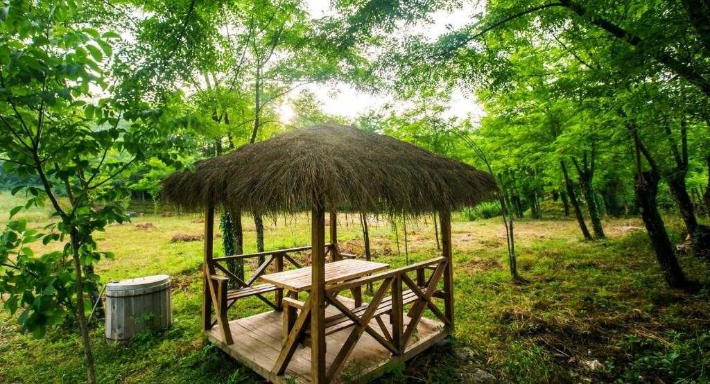 Мини-отель Villa Edemi Цхалтубо
